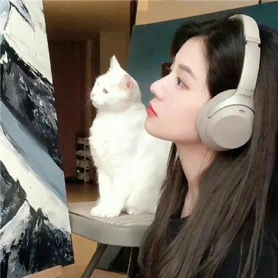 欢乐乡村